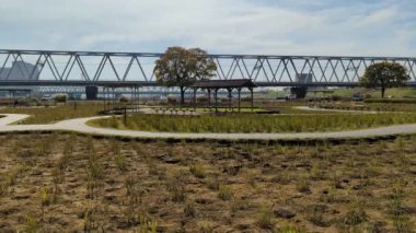 Tokyo Edogawa Nehir yatağı Kasım 2021