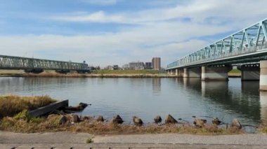 Tokyo Edogawa Nehir yatağı Kasım 2021