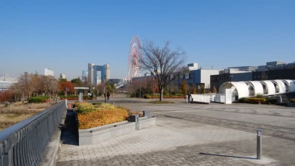 Tokio Odaiba Landschaft Dezember 2021 — Stockvideo