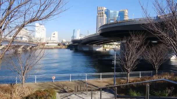 Tokyo Odaiba Paesaggio Dicembre 2021 — Video Stock