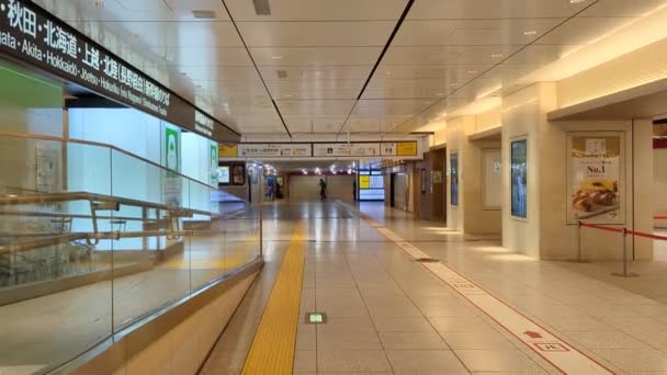 Tokyo Station Tidigt Morgonen November 2021 — Stockvideo