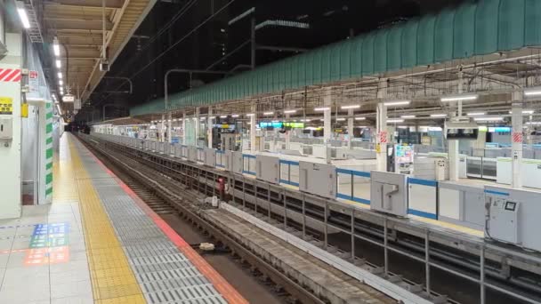 東京駅2021年11月上旬 — ストック動画