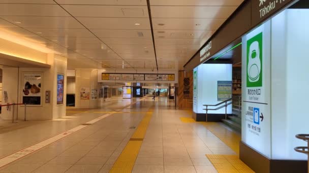 Σταθμός Τόκιο Νωρίς Πρωί Νοέμβριος 2021 — Αρχείο Βίντεο