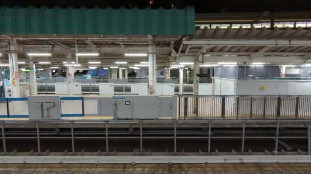 2021年11月初东京站 — 图库视频影像