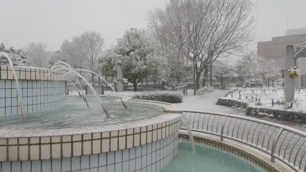 Tokyo Kiba Park Nevicata Pesante 2022 — Video Stock