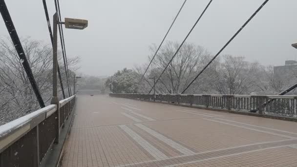 Tokyo Kiba Park Tung Snö Faller 2022 — Stockvideo