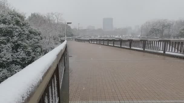 Tokyo Kiba Park Tung Snö Faller 2022 — Stockvideo