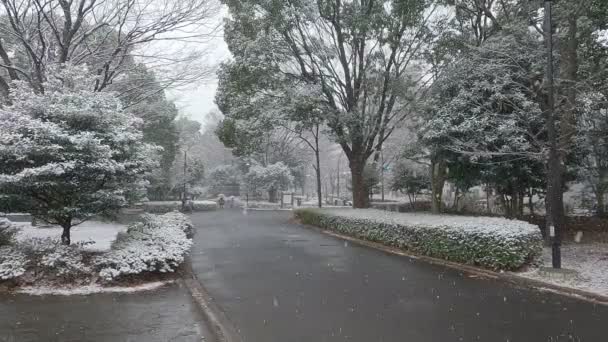 Tokyo Kiba Park Nevicata Pesante 2022 — Video Stock