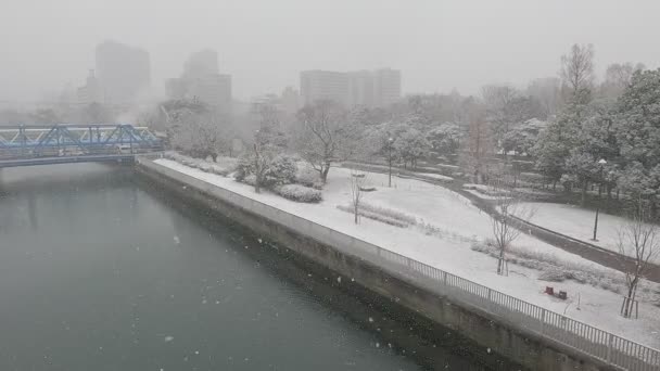 東京木場公園大雪2022年秋 — ストック動画