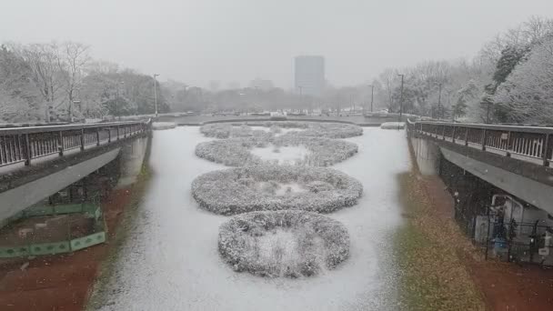 Tokyo Kiba Park Queda Neve Pesada 2022 — Vídeo de Stock