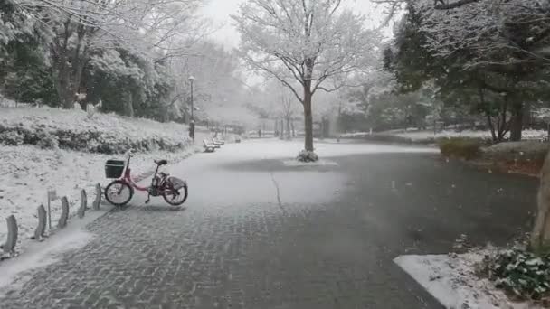 Tokio Kiba Park Zware Sneeuwval 2022 — Stockvideo