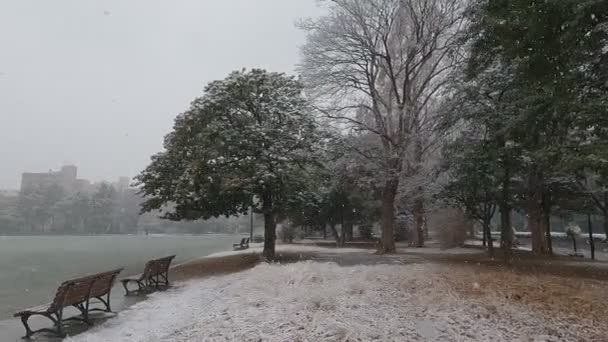 Tokyo Kiba Park Nevicata Pesante 2022 — Video Stock