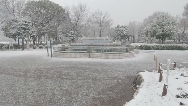 Tokio Kiba Park Starker Schneefall 2022 — Stockvideo