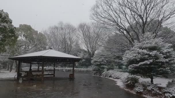 Tokyo Kiba Park Queda Neve Pesada 2022 — Vídeo de Stock