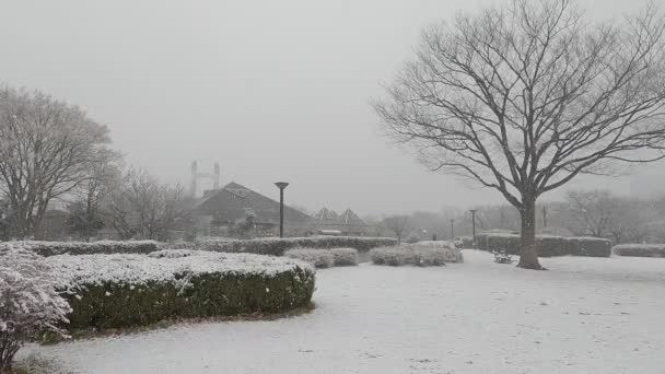 Tokyo Kiba Park Queda Neve Pesada 2022 — Vídeo de Stock