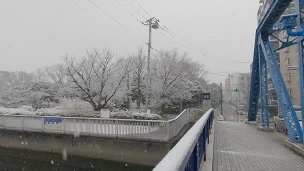 Восени 2022 Року Парку Токіо Кіба Був Сильний Сніг — стокове відео