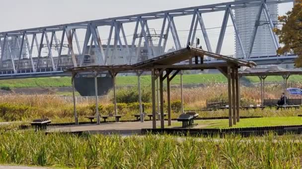 Tokyo Edogawa Riverbed Noviembre 2021 — Vídeo de stock