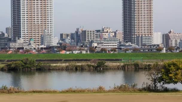 Tokyo Edogawa Riverbed Novembre 2021 — Video Stock