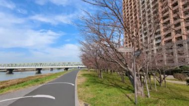 Tokyo Edogawa Nehir yatağı Kasım 2021