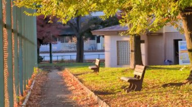 Tokyo Toneri Parkı Sonbahar Kasım 2021