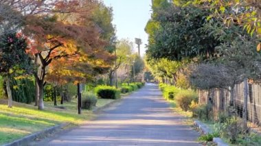 Tokyo Toneri Parkı Sonbahar Kasım 2021