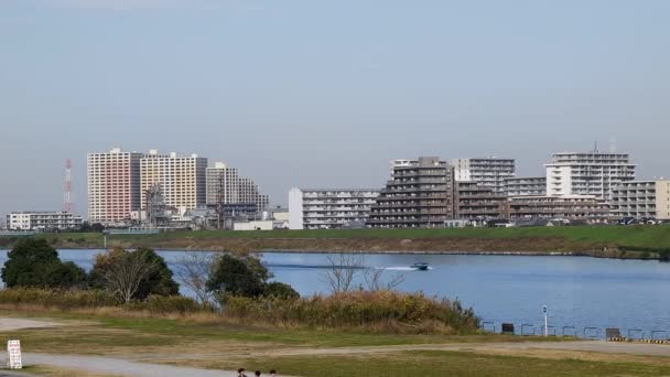 Τόκιο Edogawa Riverbed Νοέμβριος 2021 — Αρχείο Βίντεο