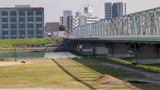 Tokyo Edogawa Riverbed November 2021 — Stok Video