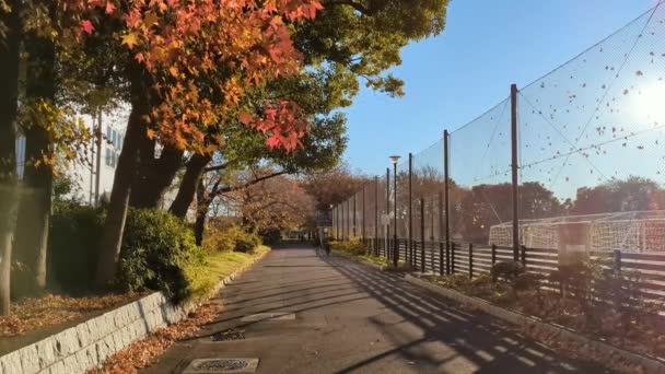 Tokio Toneri Park Herbst November 2021 — Stockvideo