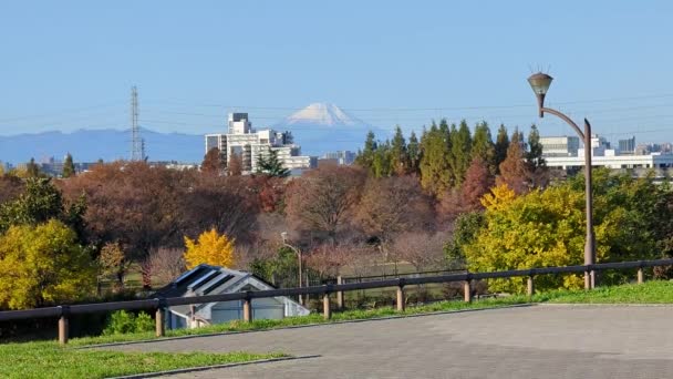 Τόκιο Toneri Park Φθινόπωρο Νοέμβριος 2021 — Αρχείο Βίντεο