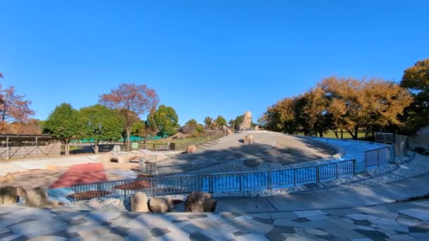 Tokyo Toneri Park Otoño Noviembre 2021 — Vídeo de stock