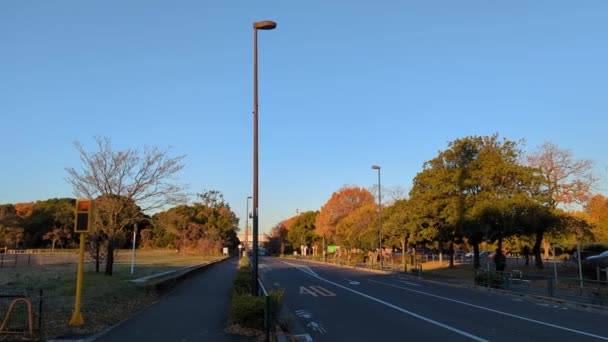 Tokio Toneri Park Herbst November 2021 — Stockvideo