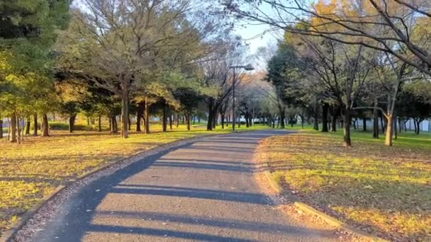 Tokyo Toneri Park Otoño Noviembre 2021 — Vídeo de stock