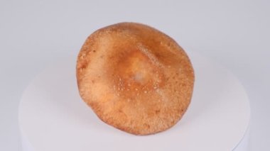 Shiitake mantarları, video klipleri