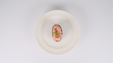 Japon Gıda Suşisi, video klibi