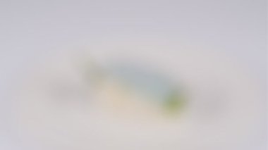 Japon Gıda Suşisi, video klibi