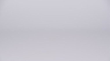 Japon Gıda Suşisi, video klibi