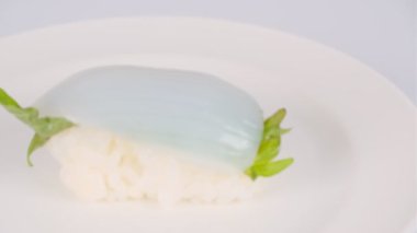 Japon Gıda Suşisi, video klibi