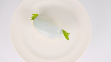 Japon Gıda Suşisi, video klibi