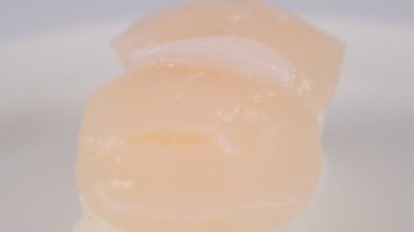 Japon Gıda Suşisi, video klibi