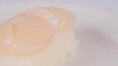 Japon Gıda Suşisi, video klibi