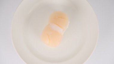 Japon Gıda Suşisi, video klibi