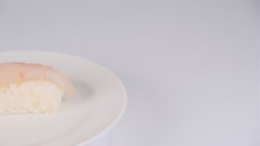 Japon Gıda Suşisi, video klibi