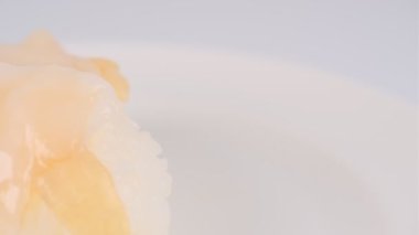 Japon Gıda Suşisi, video klibi