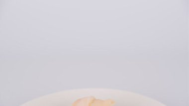 Japon Gıda Suşisi, video klibi