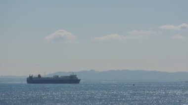 Tokyo Arakawa Nehri Ağzı Shinkiba 2022 Şubat