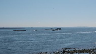 Tokyo Arakawa Nehri Ağzı Shinkiba 2022 Şubat