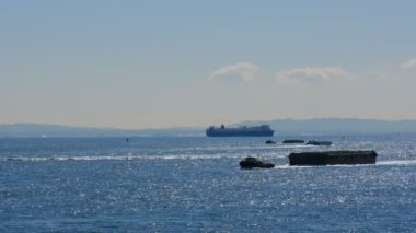 Tokyo Arakawa Nehri Ağzı Shinkiba 2022 Şubat