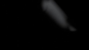 Duman sürüklenen renk parçacıkları animasyon hareketi grafikleri