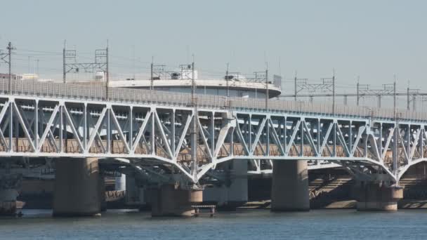 Токийское Устье Реки Аракава Синкиба 2022 Февраля — стоковое видео