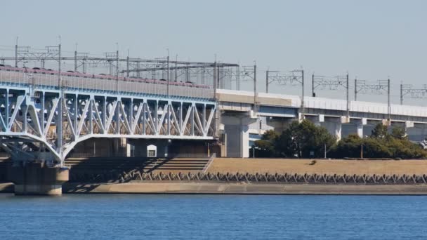 Ujścia Rzeki Tokio Arakawa Shinkiba 2022 Luty — Wideo stockowe